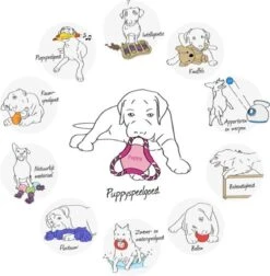 Trixie Dogtoy Dog Activity Strategy Game Gamble Box - Piepend Speelgoed - 15cm X 15cm X 9cm - Zwart/rood/oranje -Hondenbenodigdheden Korting 1178x1200 4