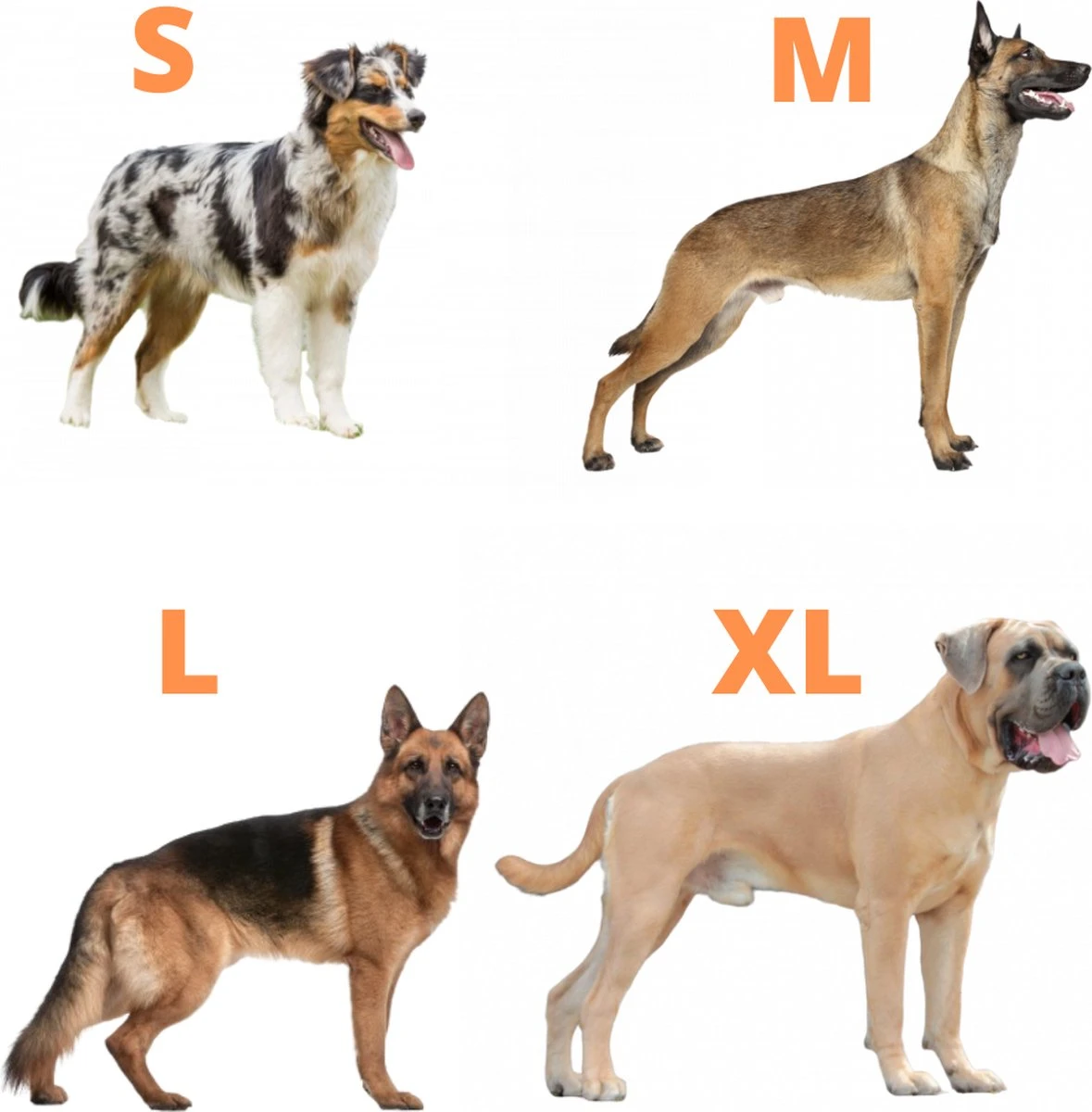 Always Prepared © Pro K9 Complete Set – Anti Trek Tuig – Honden Harnas – Y Tuig Hond – Trainings Riem – Best Getest 2022 – Halsband Hond – Middel En Grote Hond – Honden Tuigje – Harnas Hond – Veiligheidstuig – 450KG Anti Trek Test – Combi Deal 19 Always Prepared © Pro K9 Complete Set – Anti Trek Tuig – Honden Harnas – Y Tuig Hond – Trainings Riem – Best Getest 2022 – Halsband Hond – Middel En Grote Hond – Honden Tuigje – Harnas Hond – Veiligheidstuig – 450KG Anti Trek Test – Combi Deal - Afbeelding 19