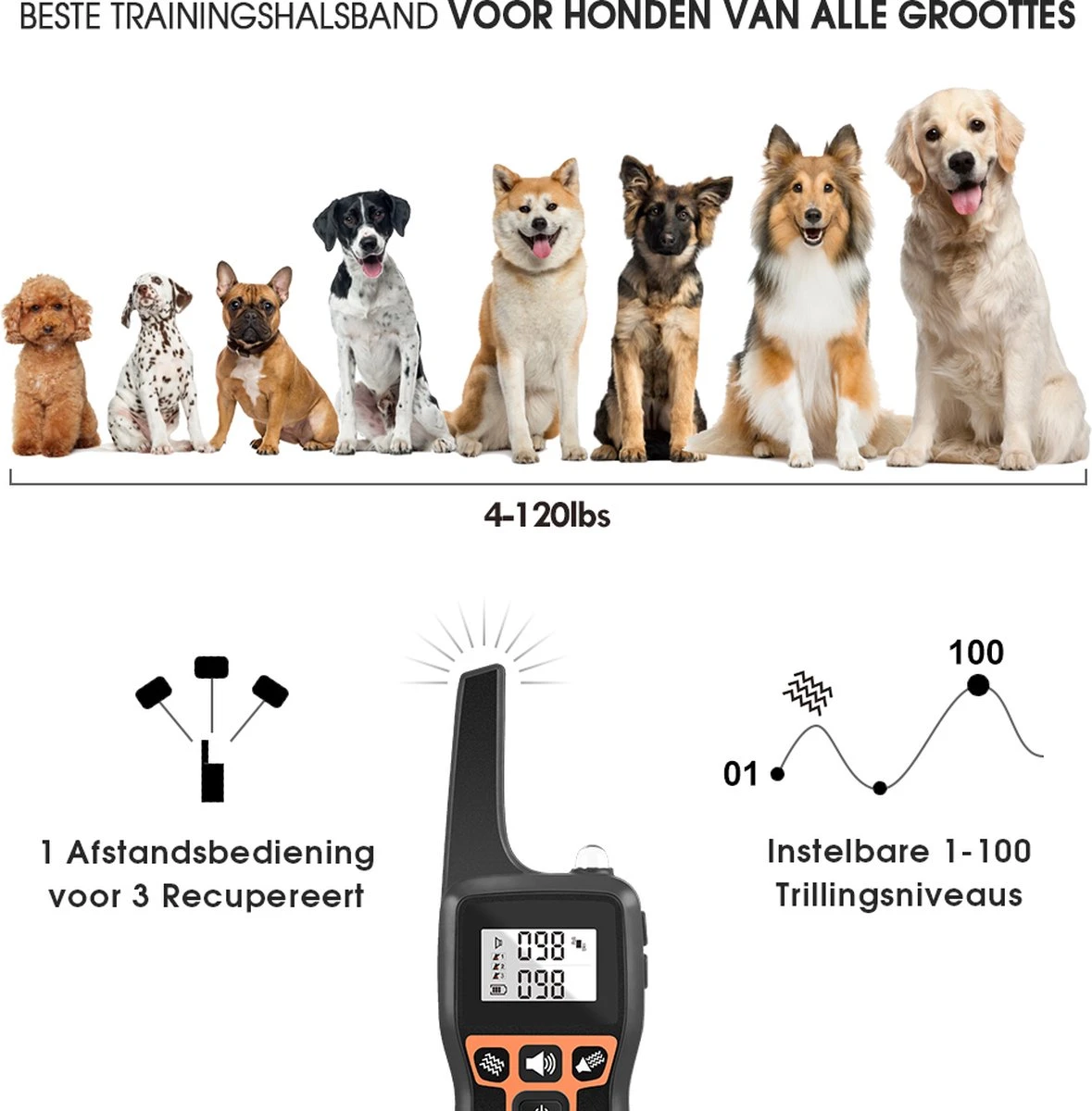 Anti Blafband EN Trainingshalsband In 1 - UNIEK SYSTEEM - 1000m Bereik - 100 Levels - Trainingsband - Antiblafband - Teletac - Geluid En Vibratie/trilling - Grote En Kleine Honden - Volledig Waterdicht - Anti Blafband 2 Anti Blafband EN Trainingshalsband In 1 - UNIEK SYSTEEM - 1000m Bereik - 100 Levels - Trainingsband - Antiblafband - Teletac - Geluid En Vibratie/trilling - Grote En Kleine Honden - Volledig Waterdicht - Anti Blafband - Afbeelding 2