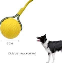 Leashr Honden Speelgoed - Bal Aan Touw - 2 Stuks - Touw - Koord - Kauwspeelgoed - Apporteer - Hond - 7 CM -Hondenbenodigdheden Korting 1180x1200 14