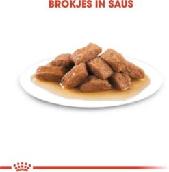 Royal Canin Shn Medium Adult Pouch - Hondenvoer - 10 X 140 G -Hondenbenodigdheden Korting 1180x1200 7