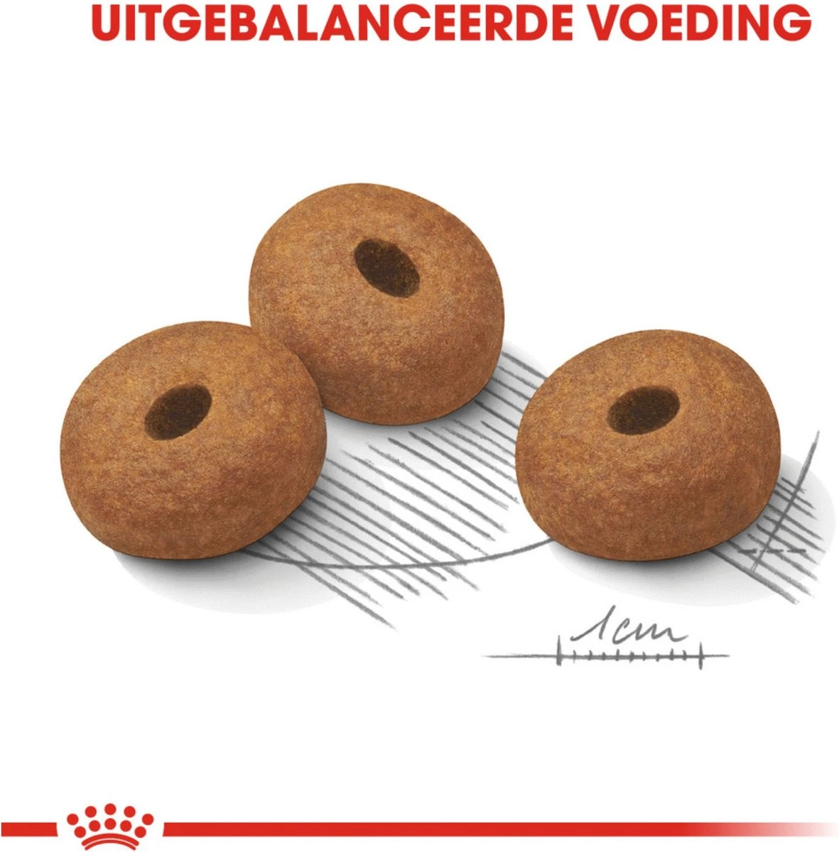 Royal Canin Light Weight Care Maxi - Hondenvoer - 12 Kg 3 Royal Canin Light Weight Care Maxi - Hondenvoer - 12 Kg - Afbeelding 3