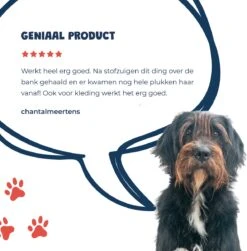 JC Pets Premium Pluizenborstel - Huisdierhaar Verwijderaar – Pluizenverwijderaar – Honden En Kattenhaar Verwijderaar - Ontpluizer - Pluizenroller 17 JC Pets Premium Pluizenborstel - Huisdierhaar Verwijderaar – Pluizenverwijderaar – Honden En Kattenhaar Verwijderaar - Ontpluizer - Pluizenroller -Hondenbenodigdheden Korting 1183x1200 1