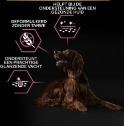 Pro Plan Large Atlethic Adult Sensitive Skin - Honden Droogvoer - Zalm - 14 Kg 28 Pro Plan Large Atlethic Adult Sensitive Skin - Honden Droogvoer - Zalm - 14 Kg -Hondenbenodigdheden Korting 1184x1200