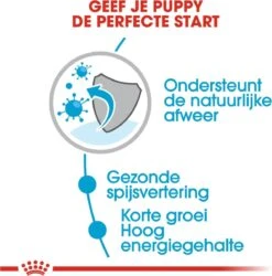 Royal Canin Shn Medium Puppy Pouch - Hondenvoer - 10 X 140 G -Hondenbenodigdheden Korting 1184x1200 3