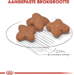 Royal Canin Mini Adult 8+ - Hondenvoer - 800 G -Hondenbenodigdheden Korting 1185x1200 2