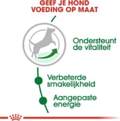 Royal Canin Mini Adult 8+ - Hondenvoer - 800 G -Hondenbenodigdheden Korting 1186x1200 2