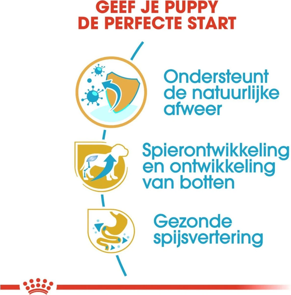 Royal Canin Rottweiler Junior 12 KG 5 Royal Canin Rottweiler Junior 12 KG - Afbeelding 5