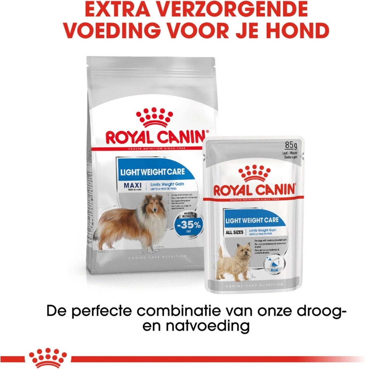 Royal Canin Light Weight Care Maxi - Hondenvoer - 12 Kg 10 Royal Canin Light Weight Care Maxi - Hondenvoer - 12 Kg - Afbeelding 10