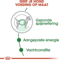 Royal Canin Shn Mini Adult Pouch - Hondenvoer - 12 X 85 G -Hondenbenodigdheden Korting 1187x1200 1