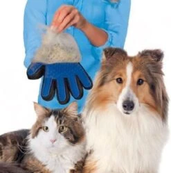 Vacht Verzorgingsborstel Voor Huisdieren - Blauw - LimitedDeals - Voor Honden Katten Konijnen Paarden - Tevens Massage Handschoen Voor Dieren! - Goed Voor De Verzorging Van De Vacht -Hondenbenodigdheden Korting 1189x1200 2