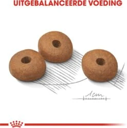 Royal Canin Ccn Light Weight Care Mini - Hondenvoer - 3 Kg -Hondenbenodigdheden Korting 1190x1200 1