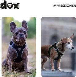 DDOXX Borstharnas Air Mesh, Step-In, Reflecterend | Vele Kleuren | Voor Kleine, Middelgrote En Middelgrote Honden | Hondenharnas Hond Kat Puppy | Kattenharnas Puppy Harnas | Zwart, M 29 DDOXX Borstharnas Air Mesh, Step-In, Reflecterend | Vele Kleuren | Voor Kleine, Middelgrote En Middelgrote Honden | Hondenharnas Hond Kat Puppy | Kattenharnas Puppy Harnas | Zwart, M -Hondenbenodigdheden Korting 1191x1200 13