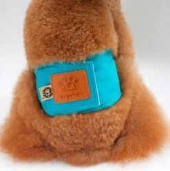 Merkloos Hondenluier Voor Kleine Hond - Luier Voor Reu - Buikband Maat S 27 Cm X 25 Cm -Hondenbenodigdheden Korting 1194x1200 10