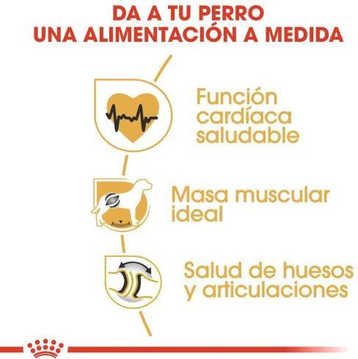 Royal Canin Rottweiler 12 KG 6 Royal Canin Rottweiler 12 KG - Afbeelding 6