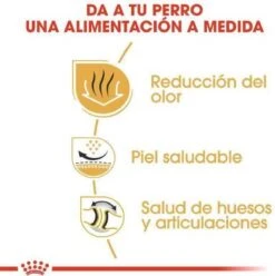 Royal Canin English Bulldog 12 KG 22 Royal Canin English Bulldog 12 KG -Hondenbenodigdheden Korting 1197x1200