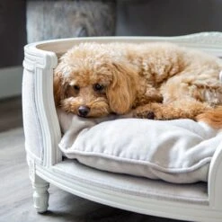 Lord Lou - George Roze Velvet S - Luxe Hondenmand - Luxe Kattenmand - 49x40x31 -Hondenbenodigdheden Korting 1198x1200 20