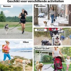Filo Elastische Hondenriem Middel - Hardlopen En Wandelen - Hardloopriem Hond Handsfree Met Heuptasje - Looplijn Met Heupriem - Canicross Gordel Honden - Riemen - Heupgordel - Leiband -Hondenbenodigdheden Korting 1198x1200 27