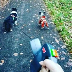 Merkloos Dubbele Hondenriem Voor Twee Honden - Grijs - Tot 22 Kg (per Hond) - 300 Cm -Hondenbenodigdheden Korting 1198x1200 28