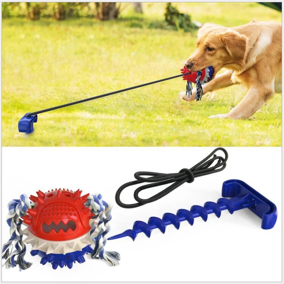 Nixnix - Honden Speelgoed Bal Met Touw - Blauw - Kauwbot - Hondenspeelgoed - Kauwspeelgoed - Onverwoestbaar - Apporteren - Geschikt Voor Alle Honden 1 Nixnix - Honden Speelgoed Bal Met Touw - Blauw - Kauwbot - Hondenspeelgoed - Kauwspeelgoed - Onverwoestbaar - Apporteren - Geschikt Voor Alle Honden