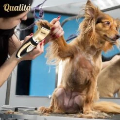 Merkloos Professionele Honden Tondeuse Set - Tondeuse Voor Huisdier Honden En Katten - Hondentrimmer - Hondentondeuse 13 Merkloos Professionele Honden Tondeuse Set - Tondeuse Voor Huisdier Honden En Katten - Hondentrimmer - Hondentondeuse -Hondenbenodigdheden Korting 1198x1200 9