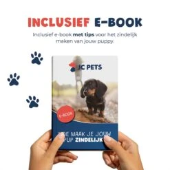 JC Pets Premium Pad Houder Met Rooster - Inclusief 20 Puppy Training Pads - Hondentoilet - Zindelijkheidstraining Hond 21 JC Pets Premium Pad Houder Met Rooster - Inclusief 20 Puppy Training Pads - Hondentoilet - Zindelijkheidstraining Hond -Hondenbenodigdheden Korting 1199x1200 10