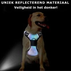 Mister Mill Hondentuigje 2x Klikgesp Maat XL Grijs - Anti-Trek Tuig Hondenharnas - Y Tuig Hond Reflecterend -Hondenbenodigdheden Korting 1199x1200 29