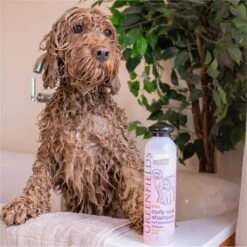 Greenfields Labradoodle Vacht Verzorgingsset - Shampoo En Anti-Klit Spray Voor Langharige Of Krullende Vacht 18 Greenfields Labradoodle Vacht Verzorgingsset - Shampoo En Anti-Klit Spray Voor Langharige Of Krullende Vacht -Hondenbenodigdheden Korting 1199x1200 5