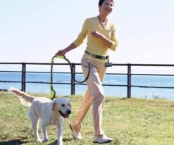 Canicross Looplijn Hond Met Heupriem Voor Hardlopen - Elastische Handsfree Hondenriem - Honden Trainingslijn - 150/210cm - Zwart 13 Canicross Looplijn Hond Met Heupriem Voor Hardlopen - Elastische Handsfree Hondenriem - Honden Trainingslijn - 150/210cm - Zwart -Hondenbenodigdheden Korting 1200x1000 12