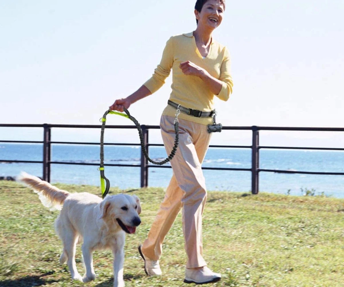 Canicross Looplijn Hond Met Heupriem Voor Hardlopen - Elastische Handsfree Hondenriem - Honden Trainingslijn - 150/210cm - Zwart 7 Canicross Looplijn Hond Met Heupriem Voor Hardlopen - Elastische Handsfree Hondenriem - Honden Trainingslijn - 150/210cm - Zwart - Afbeelding 7