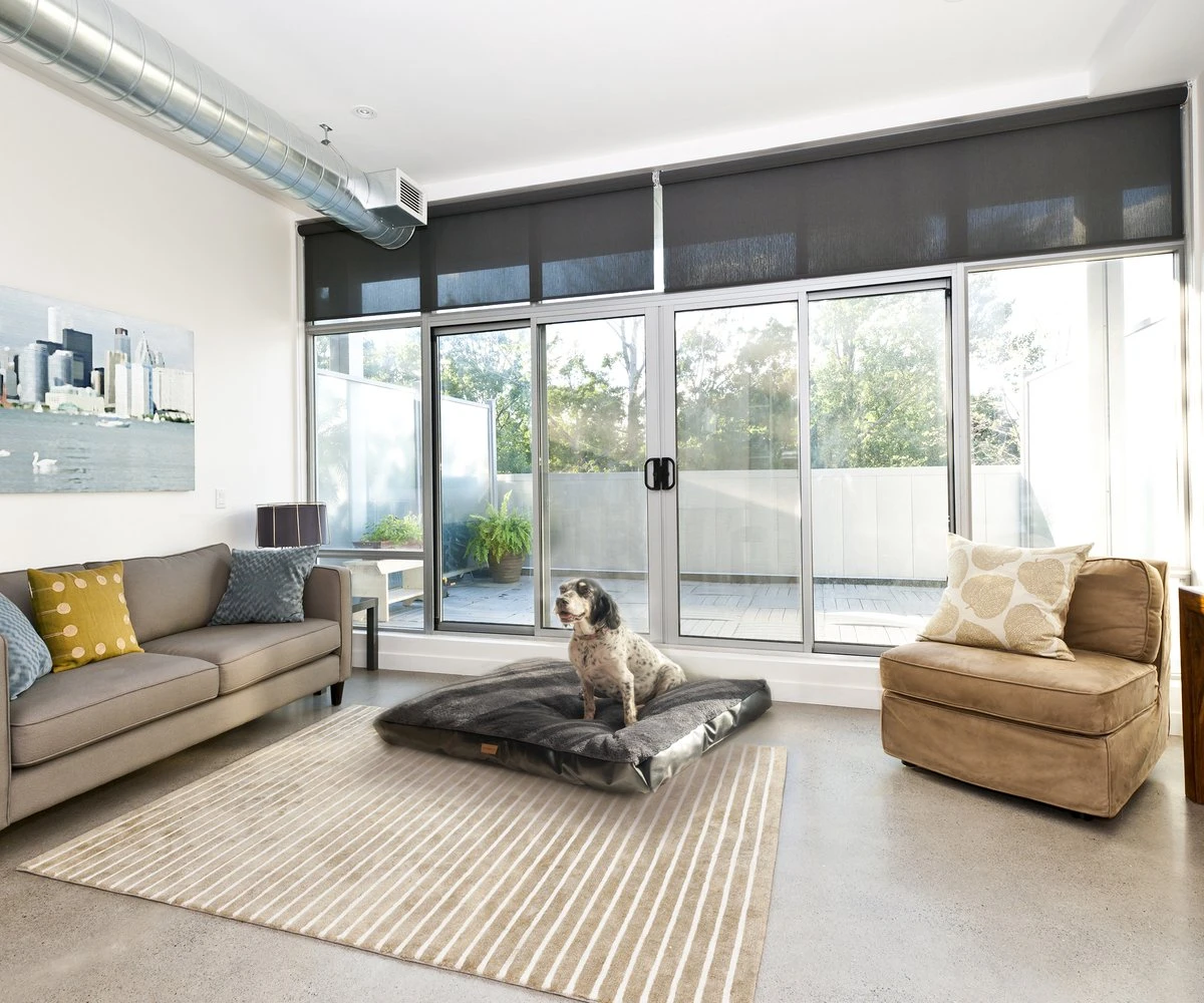 PrimePlus Hondenkussen XL Antraciet - 120x80x10 CM - Zacht En Luxe Hondenmand - Hondenbed - Hondenmat - Orthopedisch Hondenkussens 8 PrimePlus Hondenkussen XL Antraciet - 120x80x10 CM - Zacht En Luxe Hondenmand - Hondenbed - Hondenmat - Orthopedisch Hondenkussens - Afbeelding 8