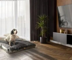 PrimePlus Hondenkussen XL Antraciet - 120x80x10 CM - Zacht En Luxe Hondenmand - Hondenbed - Hondenmat - Orthopedisch Hondenkussens 17 PrimePlus Hondenkussen XL Antraciet - 120x80x10 CM - Zacht En Luxe Hondenmand - Hondenbed - Hondenmat - Orthopedisch Hondenkussens -Hondenbenodigdheden Korting 1200x1000 3