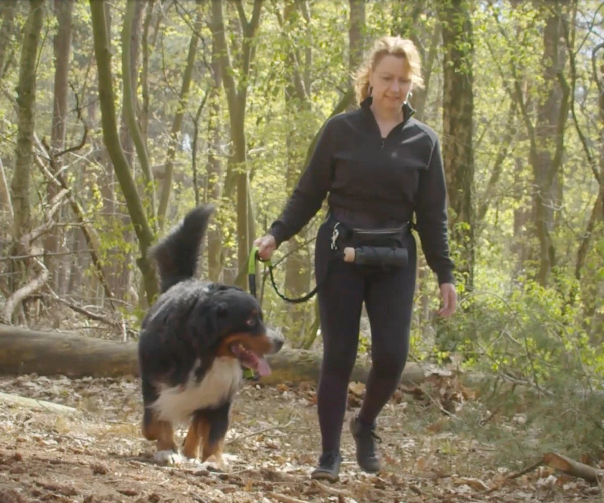 Canicross Looplijn Hond Met Heupriem Voor Hardlopen - Elastische Handsfree Hondenriem - Honden Trainingslijn - 150/200cm - Groen 2 Canicross Looplijn Hond Met Heupriem Voor Hardlopen - Elastische Handsfree Hondenriem - Honden Trainingslijn - 150/200cm - Groen - Afbeelding 2