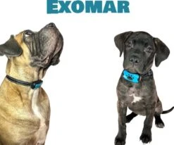 Exomar® Anti Blafband Voor Honden Blafband Anti Blaf Apparaat Blafband Zonder Schok - Diervriendelijk -Hondenbenodigdheden Korting 1200x1003 1