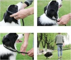 LOUZIR Cesar Millan Sliplijn Met Stop - Hondenriem - Rood - 130 Cm -Hondenbenodigdheden Korting 1200x1003 2