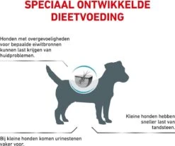 Royal Canin Hypoallergenic Kleine Hond - 3.5 Kg -Hondenbenodigdheden Korting 1200x1007