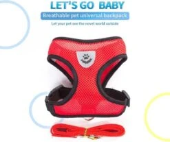 Hondentuig- Hondentuigjes Kleine Hond-hondentuigjes Puppy-Kattenspeeltjes-kat-dog-Kattenharnas-kattentuigje -kattentuigje Met Looplijn-maat M-Rood -Hondenbenodigdheden Korting 1200x1007 3