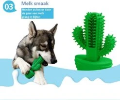 Tandenborstel + TANDPASTA Hond Melk Geur Smaak En Piep Honden Speelgoed - Cactus Dog Toy Tandverzorging Kauwbotten Hondenspeelgoed Hondenbot Kauwstaaf Tanden Puppy Hondenspeeltje Sterk Kauwspeelgoed - Dutchwide -Hondenbenodigdheden Korting 1200x1008 8