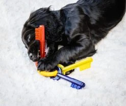 Nylabone Puppy Teething Key Flexible Geel&Blauw&Rood - Hondenspeelgoed - Wolf Tot 16kg -Hondenbenodigdheden Korting 1200x1009 2