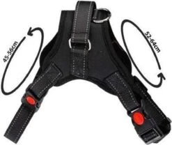 Hondenbenodigdheden Korting -Hondenbenodigdheden Korting 1200x1012 7