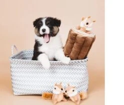 Zippy Paws - Petshop By Fringe Studio- Intelligentie Spel - Speelgoed Hond - Honden - Puzzel - Eekhoorn -Hondenbenodigdheden Korting 1200x1014 3