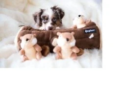 Zippy Paws - Petshop By Fringe Studio- Intelligentie Spel - Speelgoed Hond - Honden - Puzzel - Eekhoorn -Hondenbenodigdheden Korting 1200x1014 4