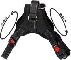 PetsPro Hondentuigje - Maat S - Anti Trek Honden Harnas - Honden Tuig - Tot 22 Kg - Nek Omvang: 37-45 Cm Borst Omvang: 48-55 Cm -Hondenbenodigdheden Korting 1200x1016 3