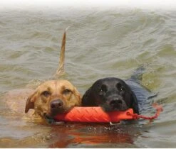 Kong Training Dummy - Hondenspeelgoed - Oranje - L - 27 Cm 11 Kong Training Dummy - Hondenspeelgoed - Oranje - L - 27 Cm -Hondenbenodigdheden Korting 1200x1022 6