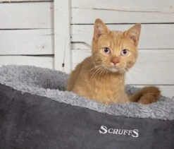 Scruffs Cosy Kattenmand - Comfortabel En Voordelig Met Zachte Binnenvoering En Imitatie Suède Buitenvoering - 3 Kleuren - Ø 45 Cm - Karamel -Hondenbenodigdheden Korting 1200x1024 1