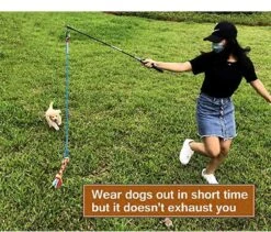CF Pack - Hond Buitenspeelgoed Actief Behendigheid Touw Dog Flirt Pole Flirtpole Toy Tug Tease Wand Non-Bungee Cord Dog Toy For Fun Obedience Training Extandable Toy Honden Speelgoed Hondenspeelgoed Behendigheidspeelgoed -Hondenbenodigdheden Korting 1200x1026 11