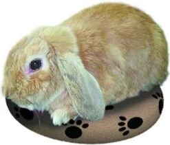 Snugglesafe Warmteschijf Hond/Kat - 24 Cm 6 Snugglesafe Warmteschijf Hond/Kat - 24 Cm -Hondenbenodigdheden Korting 1200x1026 8