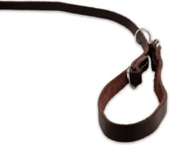 Multifunctionele Hondenriem - 220cm - Bruin - Leren Hondenriem - 100% Volnerfleer - Hondenriem Leer - Leiband Hond 17 Multifunctionele Hondenriem - 220cm - Bruin - Leren Hondenriem - 100% Volnerfleer - Hondenriem Leer - Leiband Hond -Hondenbenodigdheden Korting 1200x1026 9