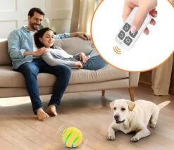 Good Experience Interactieve Hondenbal 3.0 – Honden Speelgoed Intelligentie – Puppy Speelgoed – Hondenspeeltjes – De Enige Die Werkt Met Afstandsbediening – De Veilige Bal Voor Jouw Hond – One Size – Oranje 14 Good Experience Interactieve Hondenbal 3.0 – Honden Speelgoed Intelligentie – Puppy Speelgoed – Hondenspeeltjes – De Enige Die Werkt Met Afstandsbediening – De Veilige Bal Voor Jouw Hond – One Size – Oranje -Hondenbenodigdheden Korting 1200x1034 5