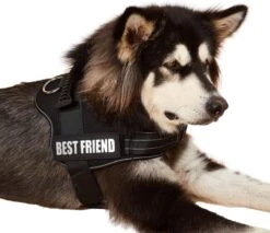 Woofy Hondentuig - Anti Trek - Hondenharnas - Reflecterend - Verstelbaar -Hondenbenodigdheden Korting 1200x1034 8